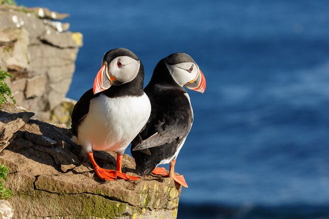 unforgettable-5-day-iceland-stopover-tour