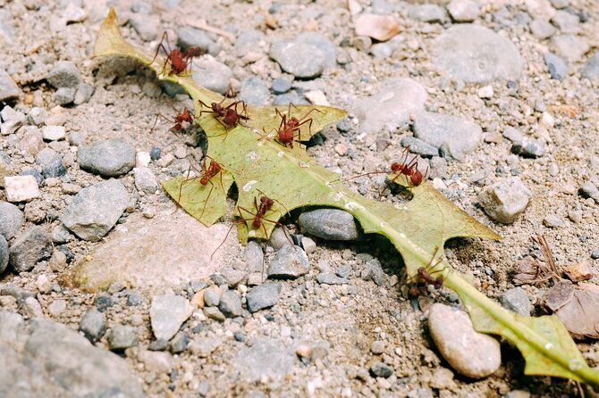 unforgettable-adventures-in-manu-national-park