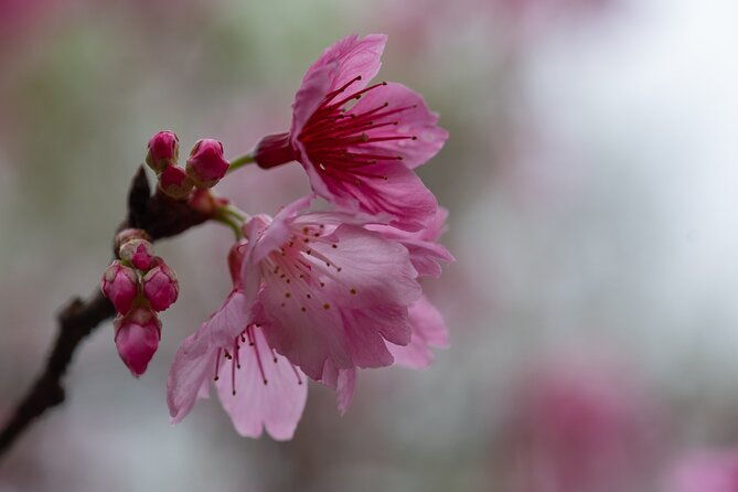 unforgettable-adventures-in-manu-national-park