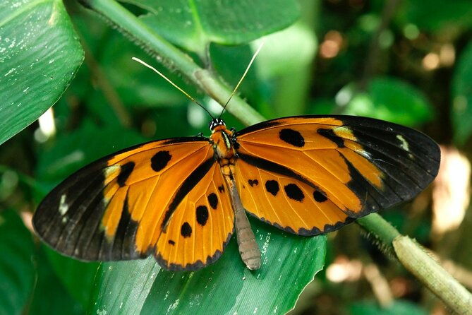 unforgettable-adventures-in-manu-national-park