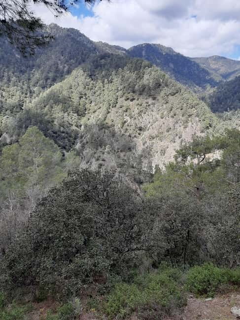 Unforgettable day on safari from Paphos to the Troodos mountains - An authentic journey through Cyprus’s inland highlights