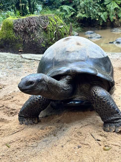 Unforgettable Full Day Mahe Island Tour - Key Points