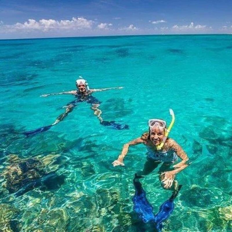 unforgettable full-day Safari Blue experience in Zanzibar, - Key Points