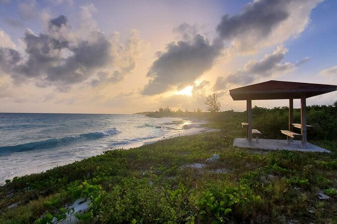 unforgettable-land-tour-on-long-island-bahamas