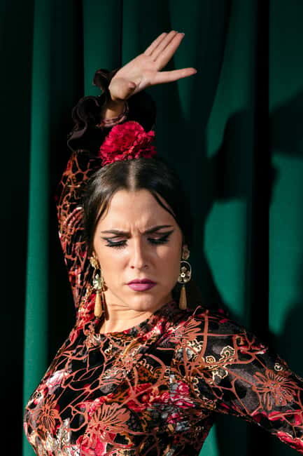 Unforgettable Seville: Tour of Seville and the Jewish Quarter + Flamenco Party Show - Engaging Meta Description  