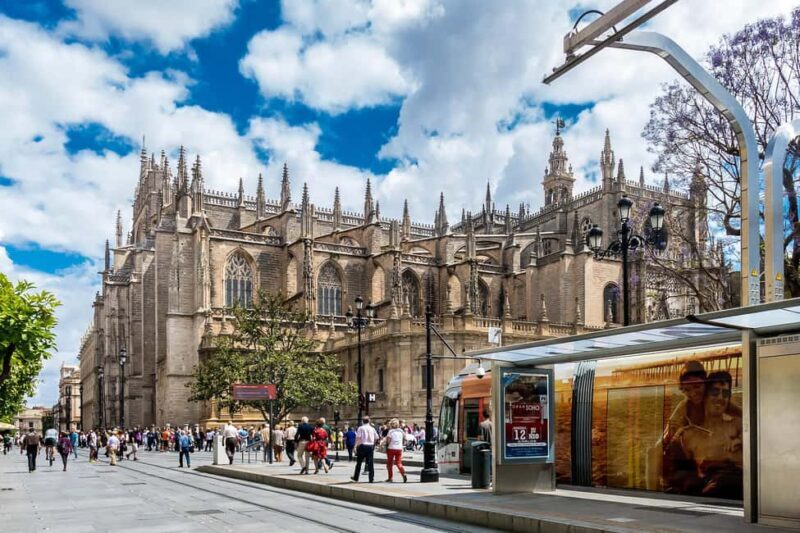 Unforgettable Seville: Tour of Seville and the Jewish Quarter + Flamenco Party Show - Starting Point: Plaza de San Francisco