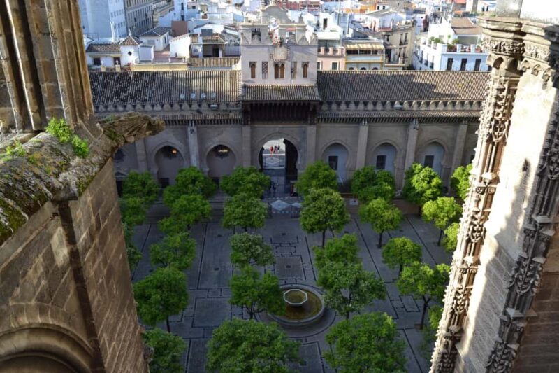 Unforgettable Seville: Tour of Seville and the Jewish Quarter + Flamenco Party Show - The Flamenco Show: A Cultural Finale  