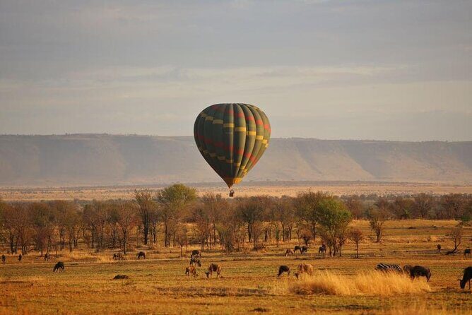 Unforgettable Tanzania Safari And Zanzibar Beach - A Detailed Look at the Experience