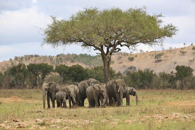 Unforgettable Tanzania Safari And Zanzibar Beach - Final Thoughts