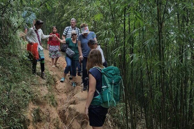 Unforgettable Trekking Experience 6 Hour in Sapa - Key Points