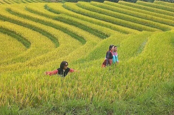 Unforgettable Trekking Experience 6 Hour in Sapa - FAQ