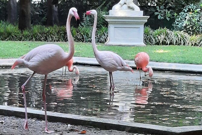 unicorn-catcher-quest-experience-in-fantastic-milan