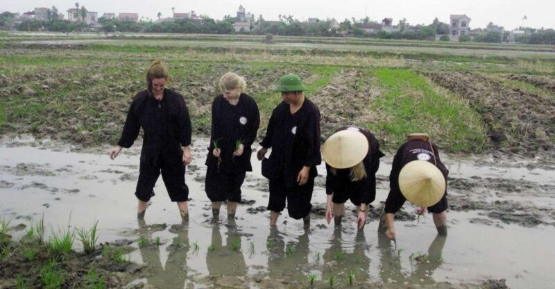 unique-2-day-halong-ninh-binh-farming-tour