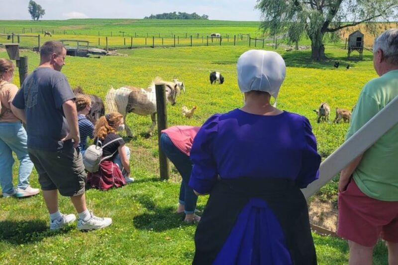 unique-amish-immersion-experience