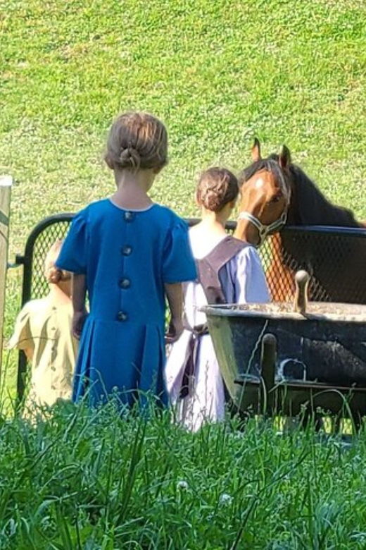 unique-amish-immersion-experience