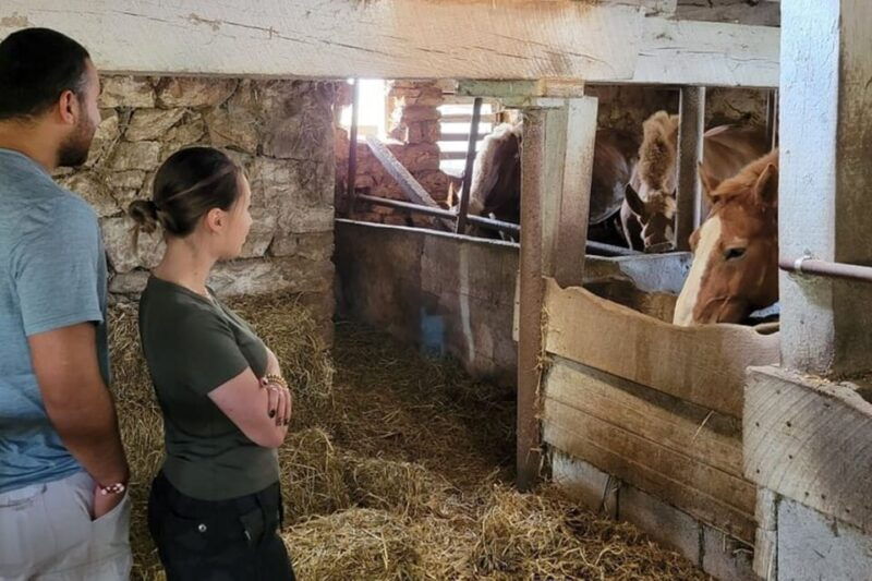 unique-amish-immersion-experience