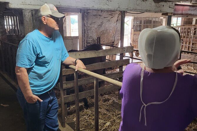 Unique Amish Immersion in Lancaster - An In-Depth Look at the Amish Immersion Tour