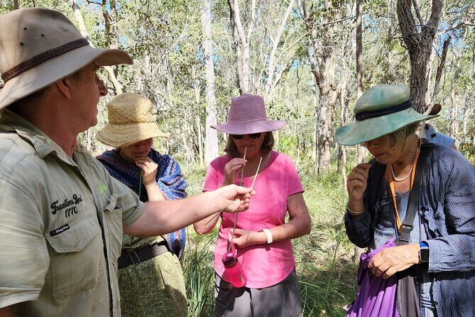 Unique and Personal BushTracks Eco Tour in Agnes Water 1770 - The Itinerary Breakdown