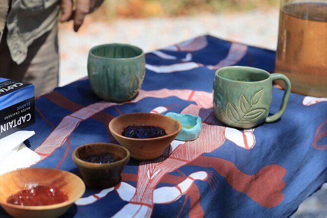 Unique and Personal BushTracks Eco Tour in Agnes Water 1770 - The Details That Make It Special