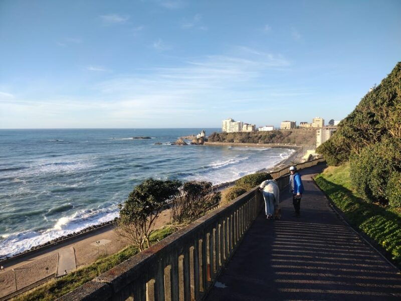 unique-basque-nature-guided-tour-by-car