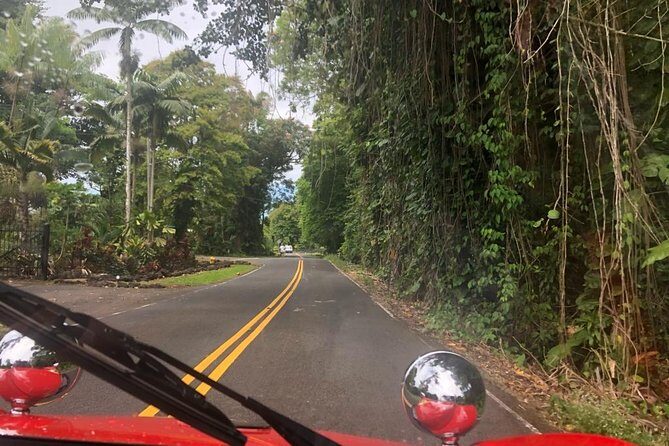 Unique Buggy Rental on the Big Island, Hawaii - FAQs