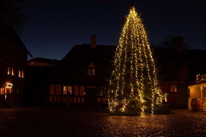 Unique Christmas Market in the Old City in Aarhus - Key Points
