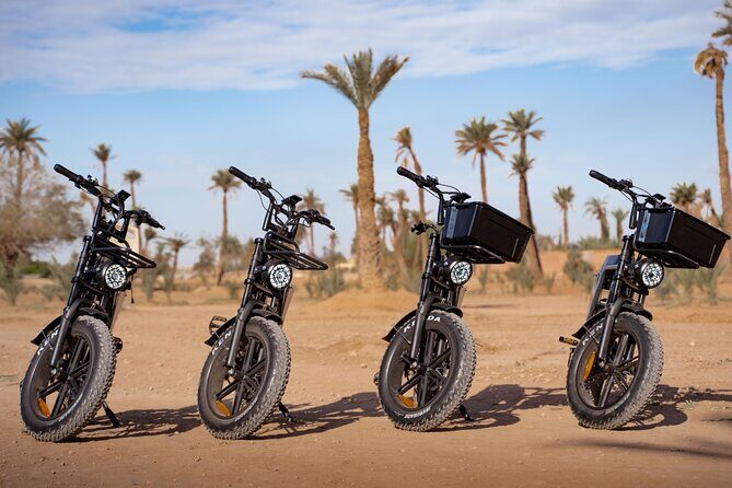 Unique Cycling Experience in Marrakech - Key Points