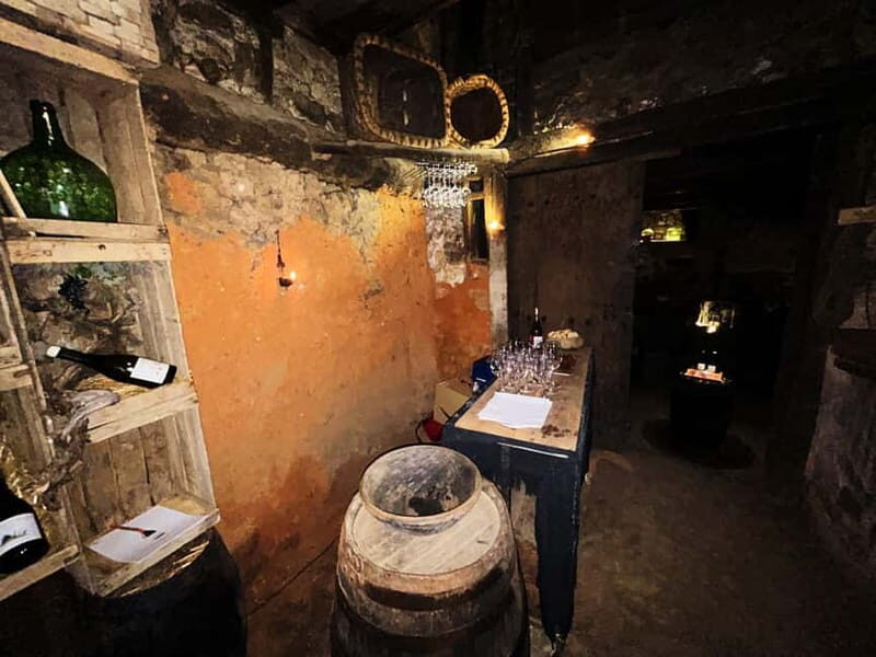 Unique experience in XVI winery with tasting near Salamanca - Key Points