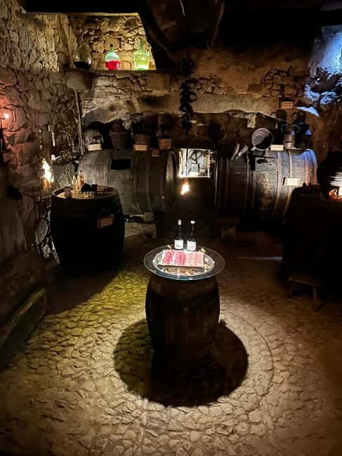 Unique experience in XVI winery with tasting near Salamanca - The Sum Up