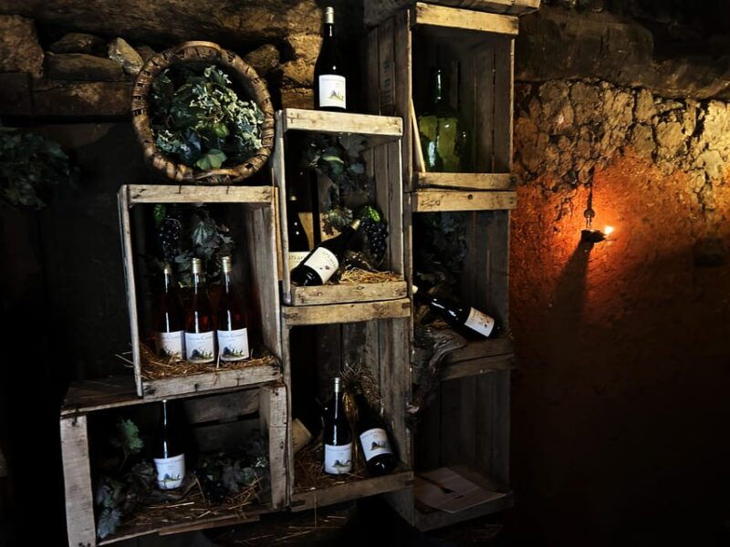 unique-experience-in-xvi-winery-with-tasting-near-salamanca