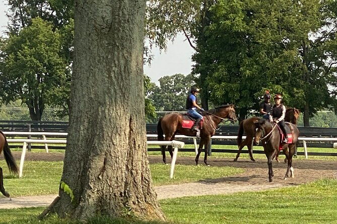 unique-horse-farm-tours-with-insider-access-to-private-farms