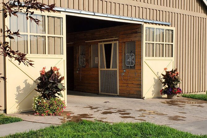 unique-horse-farm-tours-with-insider-access-to-private-farms