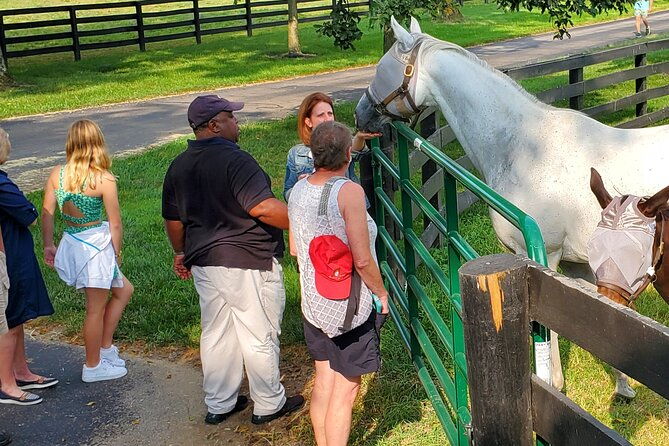 unique-horse-farm-tours-with-insider-access-to-private-farms