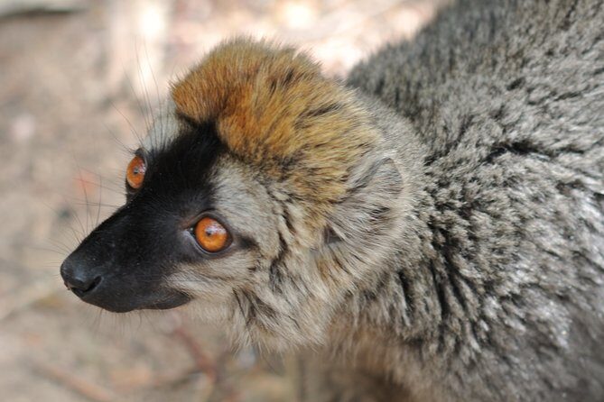 Unique Madagascar - FAQ