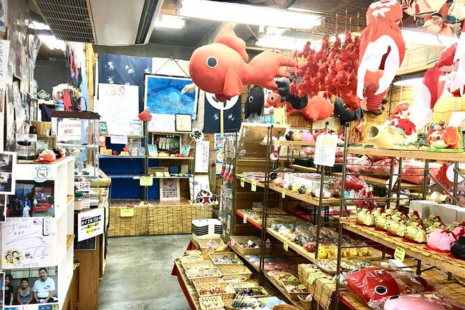 unique-one-day-goldfish-experience-in-yamato-koriyama