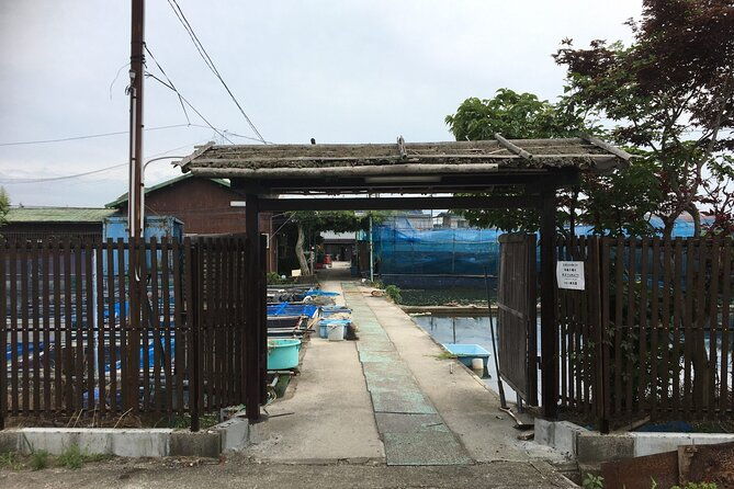 unique-one-day-goldfish-experience-in-yamato-koriyama
