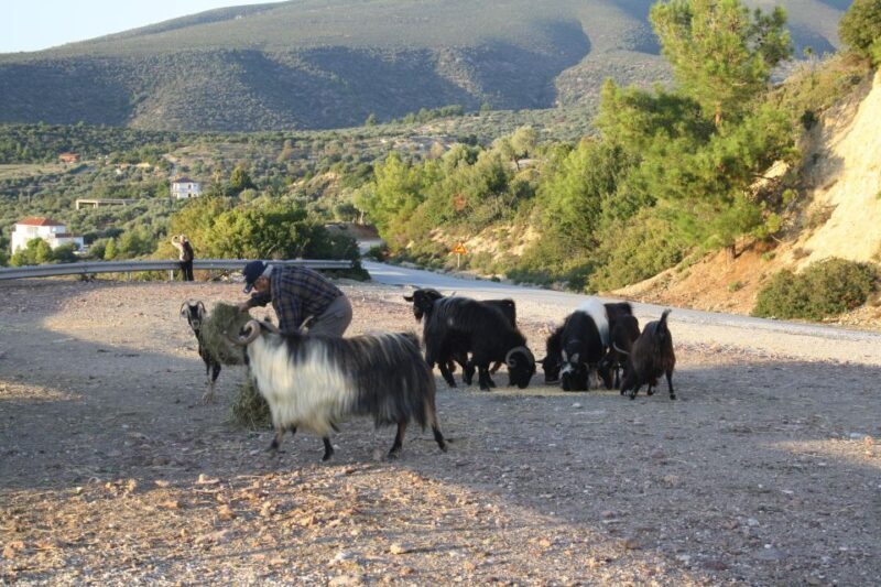 Unique Private Jeep Tour Thasos Island - Final Thoughts