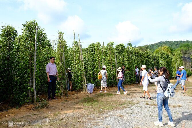 Unique Private Land Tour in South Phu Quoc Island - FAQs