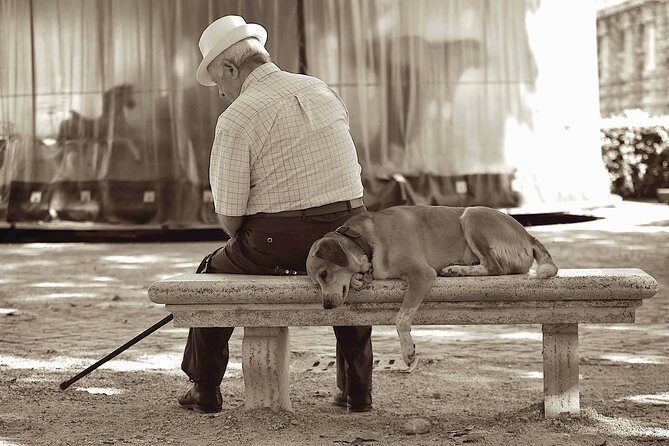 Unique Rome by Day, Street Photography Tour and Workshop - Price and Value Analysis