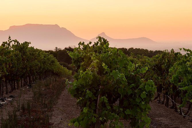 Unique Stellenbosch Winelands Tour with optional 4x4 Wine Drive - Frequently Asked Questions