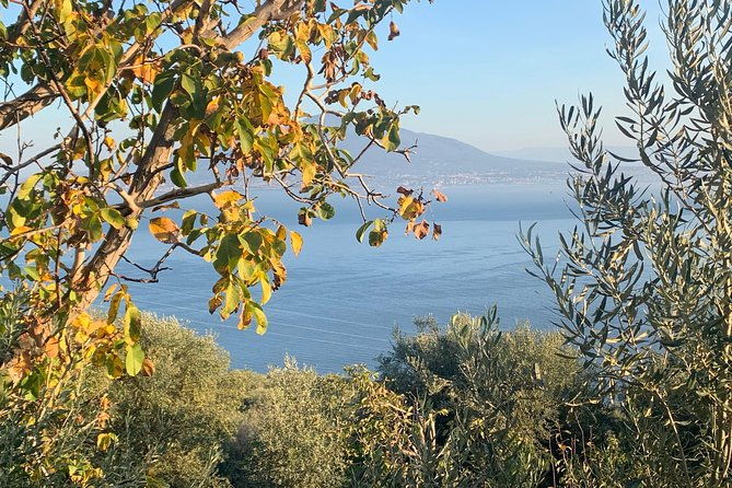 unique-tour-discovering-amalfi-on-a-minivan-with-driver