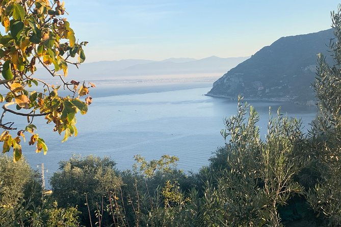 unique-tour-discovering-amalfi-on-a-minivan-with-driver