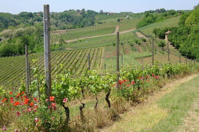 Unique wine tasting at Winery Marchesi Incisa della Rocchetta - Practical Tips for Visitors