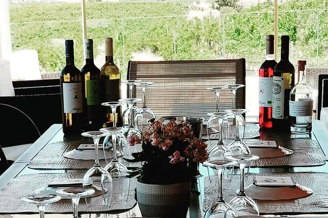 unique-wine-tasting-of-organic-cretan-wines
