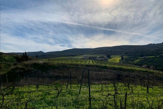 unique-wine-tasting-of-organic-cretan-wines