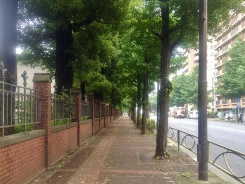 University of Tokyo Tour  Explore Japans Oldest University - Key Points