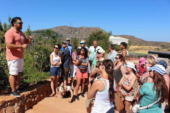unknown-east-agios-nikolaos-kritsa-and-amazonas-park