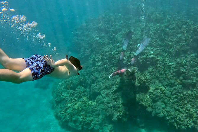 unlimited-guided-snorkeling-tour-for-beginners-plus