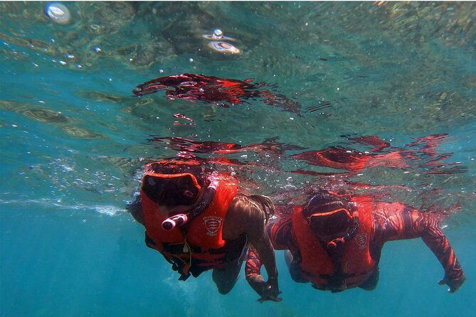 unlimited-guided-whale-watch-by-kayak-olowalu