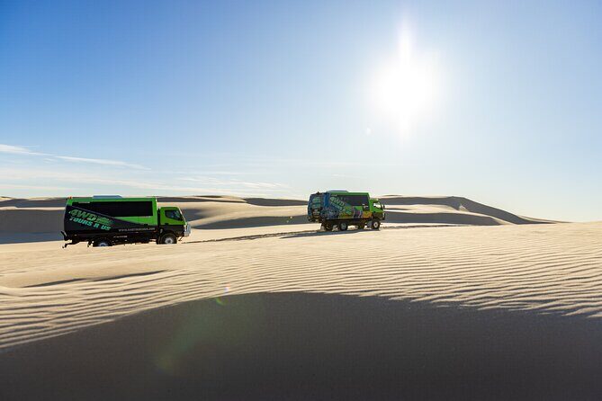Unlimited Sandboarding - Authentic Experiences from Reviewers
